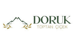 Bolu Toptan Çiçek